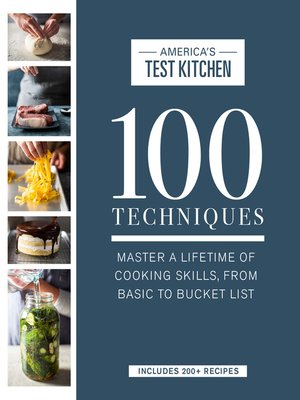 cover image of 100 Techniques